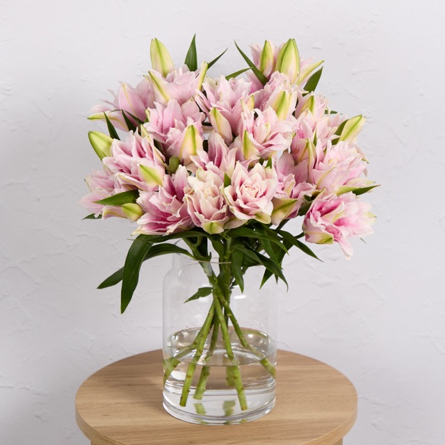 Scented Double Lilies