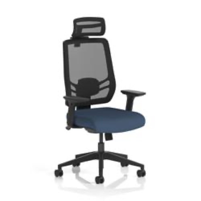 Ergo Twist Mesh Back Ergonomic Op Chair Adjustable Arms Headrest Whelk