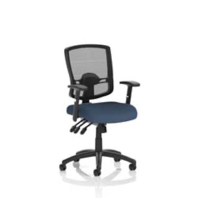 Portland III Mesh Back Chair Adjustable Arms Seat Quest Whelk