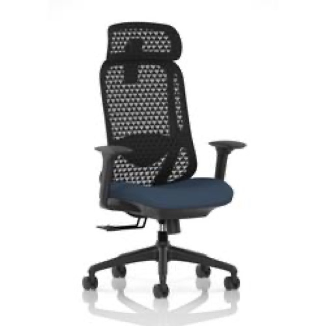 Prism Mesh Back Chair With Adjustable Arms Headrest Seat Quest Whelk