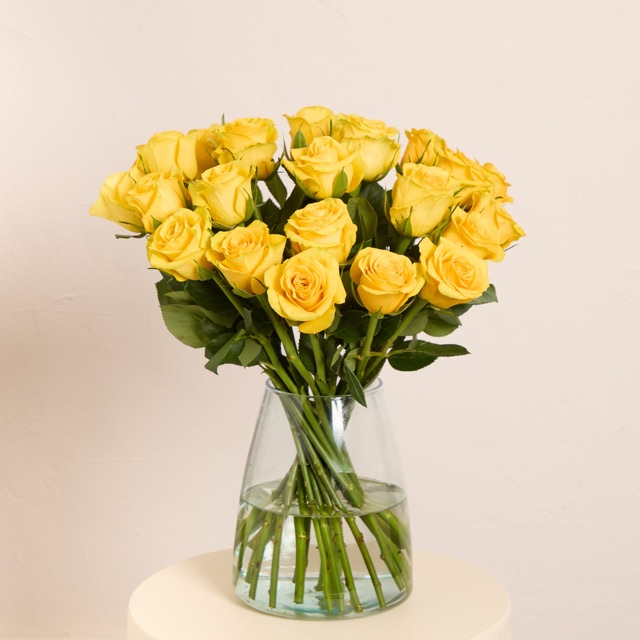 24 Fairtrade Yellow Roses
